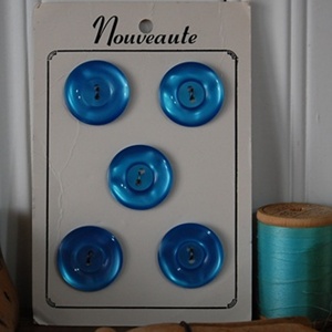 빈티지 버튼카드(Nouveaute blue)