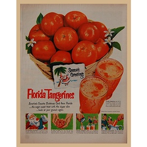 1952&#039; Florida Tangerines